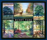 Mouse mat of Bushy Park, Middlesex
