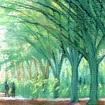 detail of:
Hornbeam Avenue, Bushy Park