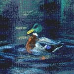 detail of:
Emmanuel College Ducks