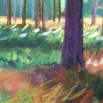 detail of:
Thetford Forest in Autumn