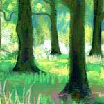 detail of:
Isabella Plantation, Richmond Park