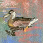 detail of:
Robinson College Duck Pond
