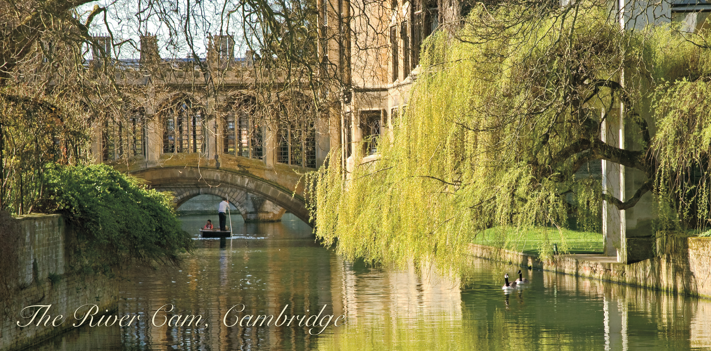 Panoramic Postcard 13 - please click to see a larger image