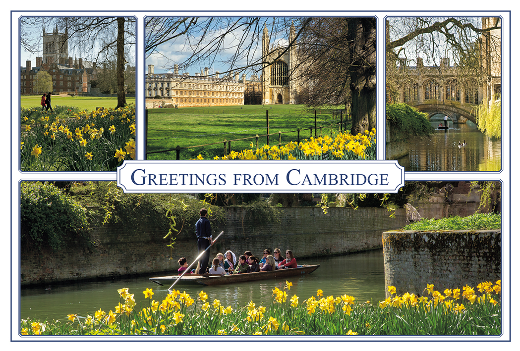 Standard Postcard 13 - please click to see a larger image
