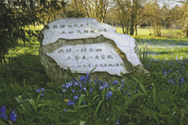 Please click here to see this page from the guidebook