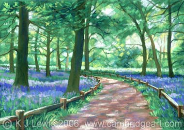 Bluebells at Kew