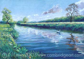Grantchester Meadows - Swan
