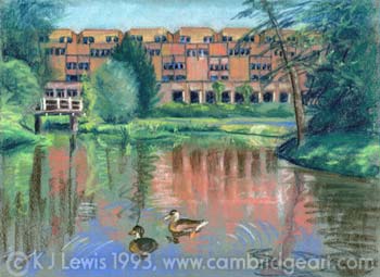 Robinson College Duck Pond