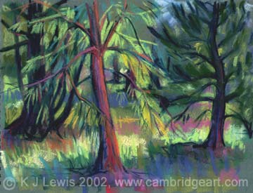 The Pinetum, Cambridge Botanic Garden
