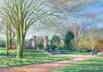 Cambridge Botanic Garden in Spring